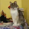 Отзыв от Алиса Григорьева